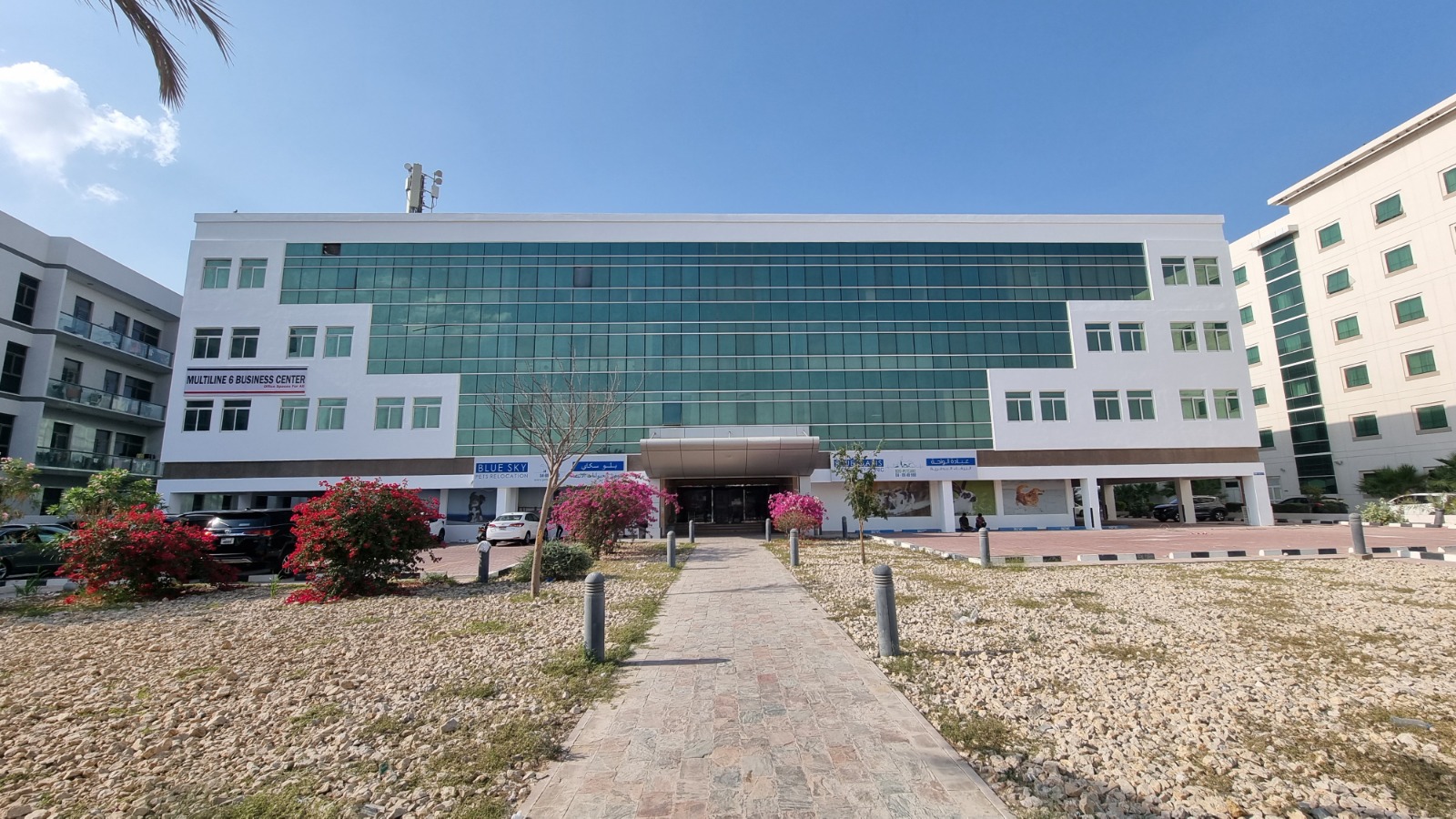 Blue Oasis Vet Interior