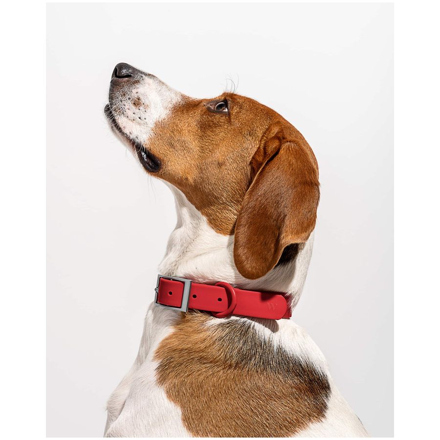 Wild One Collar - XS - Strawberry